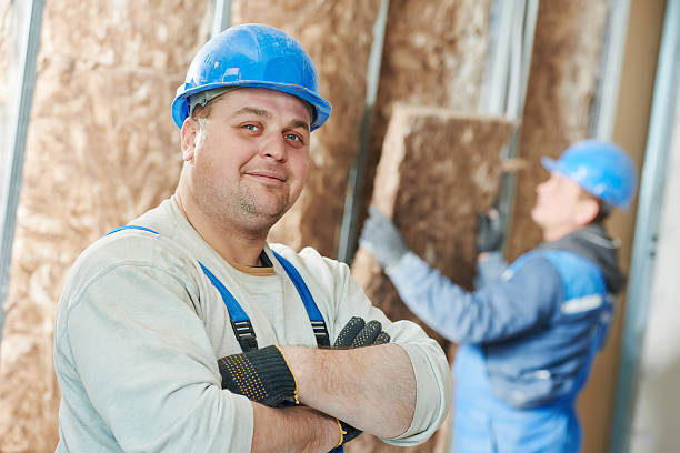 Best Insulation Maintenance and Repair in Sunnyvale, CA